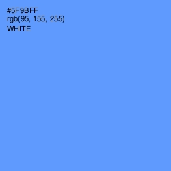 #5F9BFF - Cornflower Blue Color Image